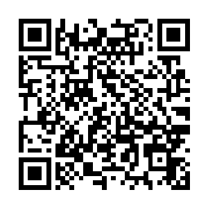 可如果你强行要求他们跟你一同前往洪荒世界的话二维码生成