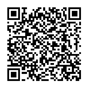 可它也相当于是洪荒巨象的元神投影了……实力达到了一个无比恐怖的层次二维码生成