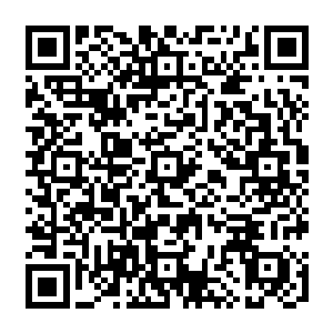 可它的防御也实在是弱的有点过分了……普通一枚元素内核的水元素是这样也就罢了二维码生成