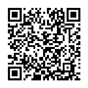 可宗门也没规定长老不能将高等级的震天石赐给客卿长老使用二维码生成