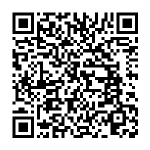 可对于那自身本就是寒冰所化的巨人而言却根本起不到多大的作用二维码生成