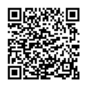 可就是这简简单单的土墙就挡住了夏天那浩浩荡荡的攻击二维码生成