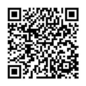可就算是他这种实力在海军大将刀皇太一的面前居然也不够看的二维码生成