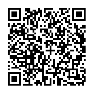 可就算是自己这么大的力量也一样无法和对面的和这个矮人铁匠对抗二维码生成