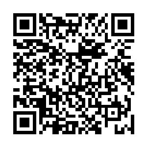 可就算眼前的这位名叫李川的传承之人是历代表现最好的二维码生成