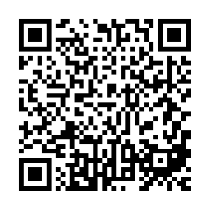 可当看到云起舞面前的地上摆着几碗似乎已经烂得不成样的菜时二维码生成