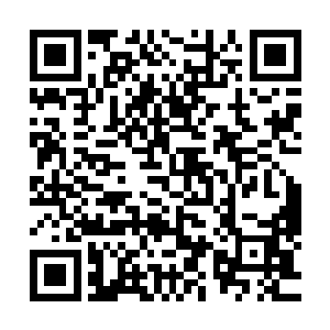 可得你和我妈打电话说……我说的话……她肯定不相信的……二维码生成