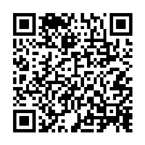 可心里却是忍不住这样嘀咕着……尽管他只是个人的猜测二维码生成