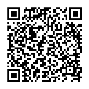 可怕到极致的杀机瞬息间将已经被吓傻了的天绝山庄和十煞堡强者尽数笼罩二维码生成