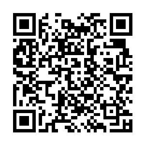 可惜了梁雨馨却不明白林寻鹤这会儿正在打什么主意呢二维码生成