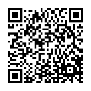可惜众人找到的疑似苏澈的神识碎片最后都被确认不是苏澈二维码生成