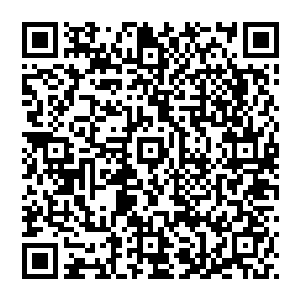 可惜暴发横财的唐劫却让图图的计划完蛋――钱多到没处用的唐劫恨不能把豆子兵们都提升到化形程度二维码生成