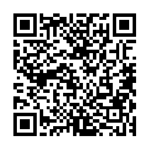 可我们紫家……商业一脉的人几乎掌控了家族所有的经济命脉二维码生成