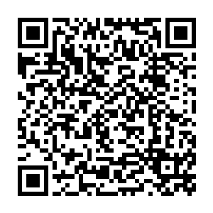 可战斗的经验也绝对不算少……他几乎是一路从尸山骨海中杀出来的二维码生成