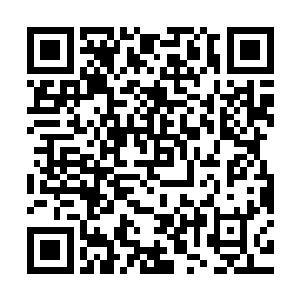 可才刚那血淋淋的一幕着实让她没法儿去细细品味他话里的意思二维码生成