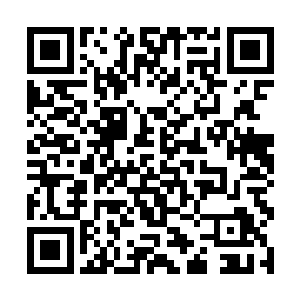 可挡住了涂三量却无法同时挡住那么多的剑离宫弟子二维码生成