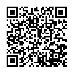 可是……主人……可能有件事没你想的这么简单……二维码生成