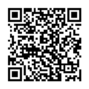 可是……他为什么就不记得拔一根自己的头发将它用上呢二维码生成