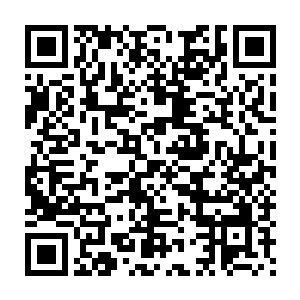 可是……可是……他们欺负我我和那个长相凶猛的师兄理论了几句二维码生成