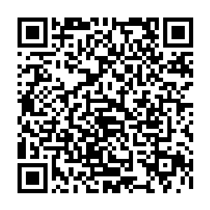 可是……身后的那一只拳头仿佛早就算计好了极真玄一的身体移动的轨迹似的二维码生成