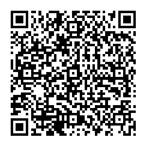 可是……这也是他会出手杀我的原因……我没想到自己竟然还能活过来……从我睁开眼的那一刻二维码生成