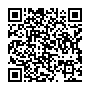 可是一进去准备搜寻有无被困人员的时候却被你们的蛇给咬伤了二维码生成