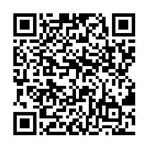可是之前抢翡翠抢的最狠的两人几乎完全就没有犹豫二维码生成