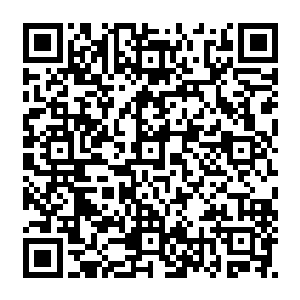 可是之前的时候龙傲天表现出来的那恐怖的实力那可不是简单的登天九重那么简单二维码生成