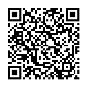 可是从我出生起爷爷就没对我笑过啊怎么会没有什么二维码生成