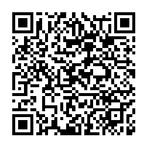可是从这寒意上他们可以肯定这是货真价实的深海蓝虎的精灵宝钻二维码生成