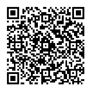 可是他们仍旧害怕那位山神人面鸟大人会突然冲下来啄瞎他们的眼睛或抓破他们的头颅二维码生成