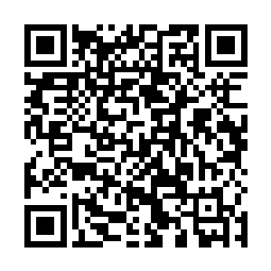 可是他们怎么也猜不透张潇晗的洞府内到底发生了什么二维码生成