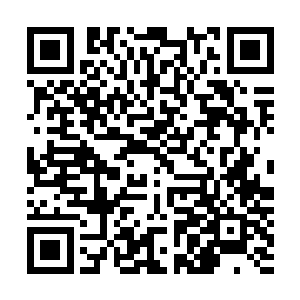 可是他们明明是还活着啊刚才他们不是冲出了谷口吗不跳字二维码生成