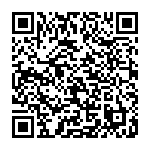 可是他们没想到原本在他们眼中丝毫不起眼的宠物竟然是一个如此恐怖的存在二维码生成