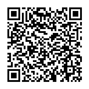 可是他们真的能安然无恙的跑出去而不被其中一条蟒蛇咬上一口吗二维码生成