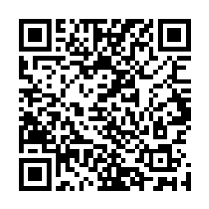 可是他刚才白白挨了一拳并且还非常客气的寻求双方的和解二维码生成