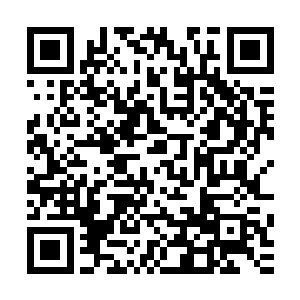 可是他却在苏凡的眼中看到了一股要将天地给吞噬的愤怒火焰二维码生成