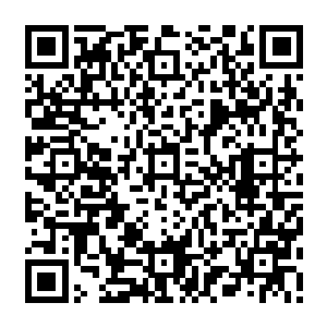 可是他怎么也没想到接下来的剧情是肇事方三个家属被人用极野蛮的方式撞死在街头二维码生成