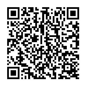 可是他曾见过最茂密的树林也没有像这样树木和树木的间隔如此紧密二维码生成