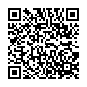 可是他比谁都清楚莫海风的计划是正确的冒然出兵发难王振科二维码生成
