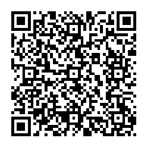 可是他没有办法确定那个叫做洛悠悠的前朝公主对他的弟弟是不是也是一样的心思二维码生成