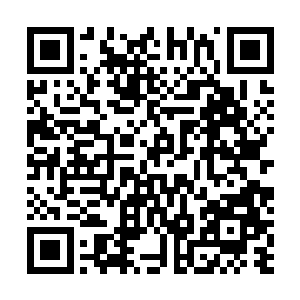 可是他没有料到张萧晗激发的柳叶飞刀可不是普通的飞刀二维码生成