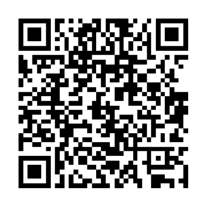 可是他的格挡对于李金方的一拳没有起到什么作用二维码生成