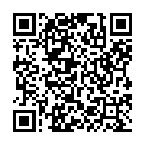 可是他的父亲却是我们玄真派内门结丹后期的长老赵宗新二维码生成