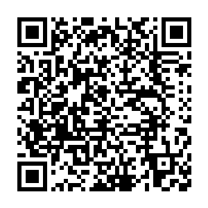 可是凭什么现在出来一个洪大力就将他任何方面全部都打击的体无完肤二维码生成