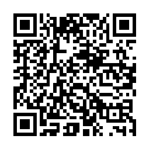 可是凭他们几个的实力要想把林封谨和野猪两人拦截下来二维码生成