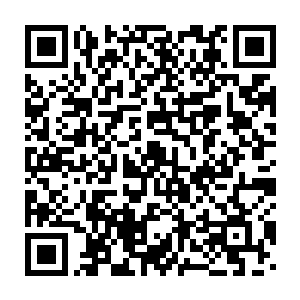 可是刚才我们在树林里看到的明明是一个三十多岁的男人和女人在一起二维码生成
