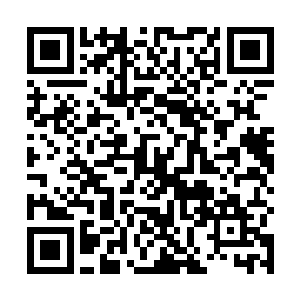 可是前几个月最大的合作单位牵扯上了经济官司破产了二维码生成