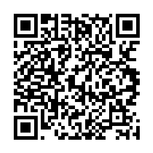 可是功法瞬间爆发就算不能完全躲开也不至于完全没法反应二维码生成