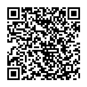 可是却没有想到却因为秦梦琪一个不小心的动作而又让他再次感受到了希望二维码生成
